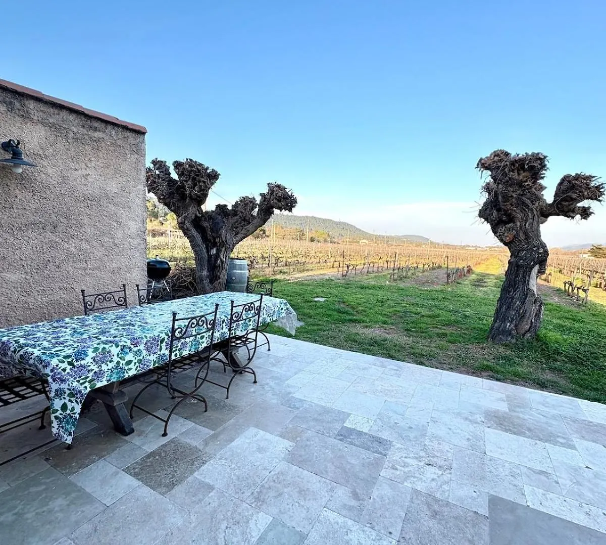Au Mas Provencal De Chris Villa Taradeau Holiday home