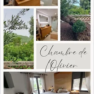 Couette-café De L Olivier, Taradeau